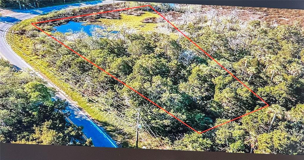 An aerial view shows a wooded, rectangular plot of land featuring a small pond — 14412 W OZELLO TRAIL, CRYSTAL RIVER, FL