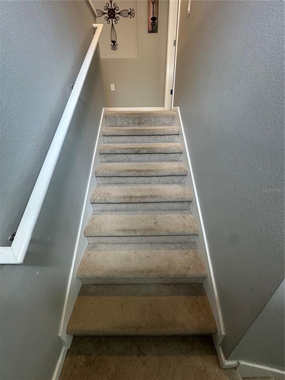 A straight staircase with carpeted steps leads upward between two gray walls — 2146 RIVER TURIA CIRCLE UNIT N/A, RIVERVIEW, FL