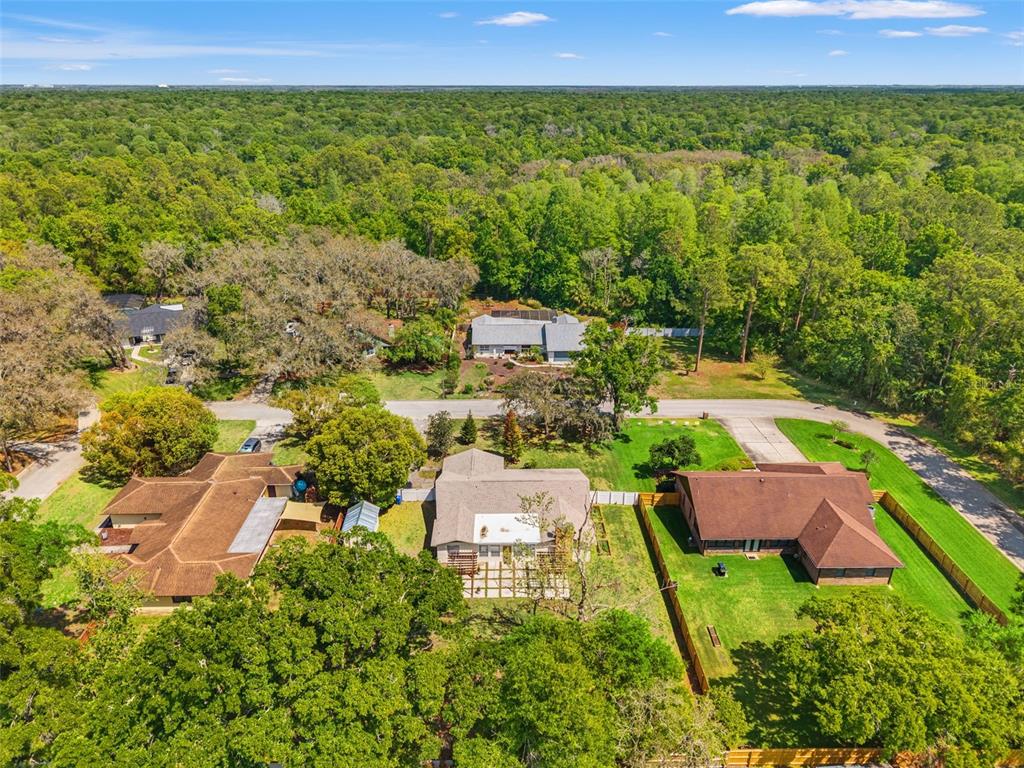 2524 VICTARRA CIRCLE, LUTZ, FL — photo 3 of 26