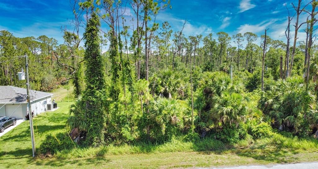 An aerial view shows a vacant, wooded lot adjacent to a house with a garage — ARMENIA ROAD, NORTH PORT, FL