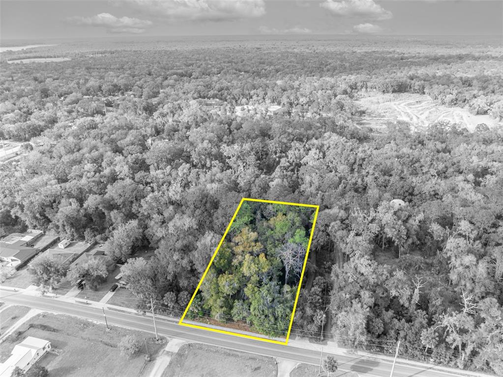 An aerial view shows a rectangular, wooded lot outlined in yellow along a paved road — W NEW YORK AVENUE, ORANGE CITY, FL
