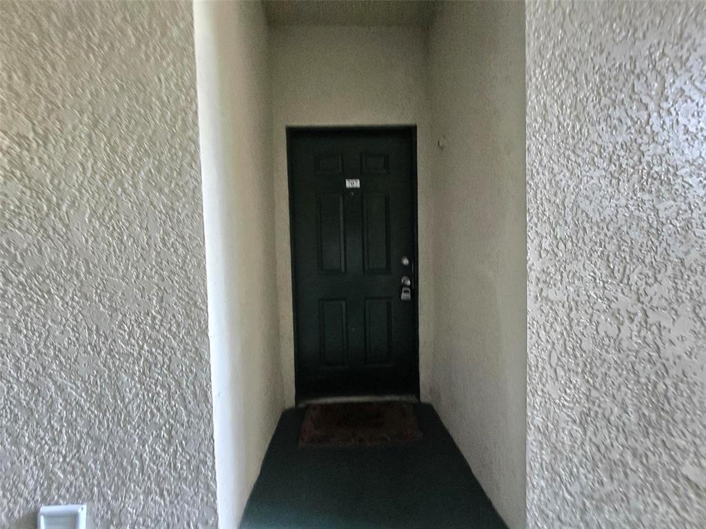 A dark-colored front door is recessed within a textured, light-colored stucco entryway — 17108 CARRINGTON PARK DRIVE UNIT 707, TAMPA, FL