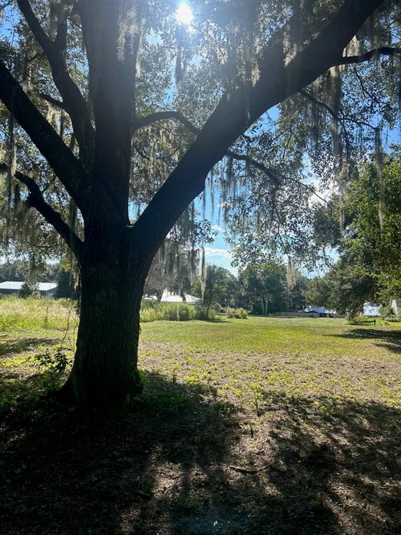 A large oak tree with Spanish moss stands in a grassy, sunlit residential lot — 15365 SE 140TH AVENUE ROAD, WEIRSDALE, FL