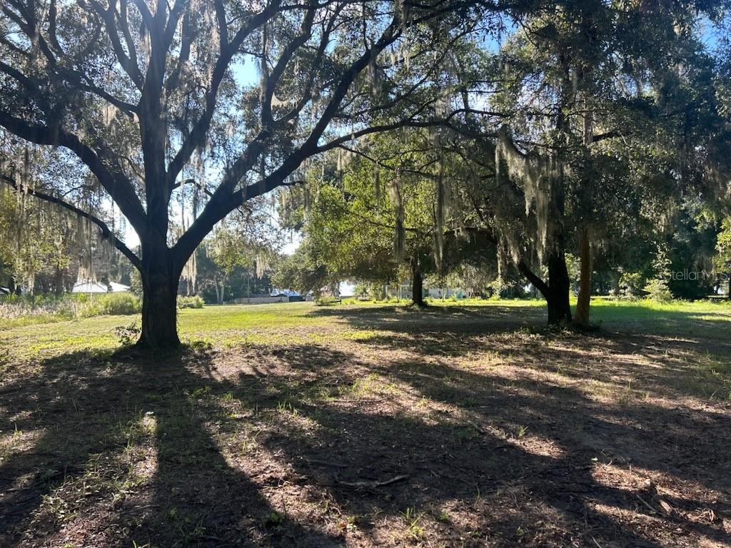 A large, grassy lot features several mature oak trees draped with Spanish moss — 15365 SE 140TH AVENUE ROAD, WEIRSDALE, FL
