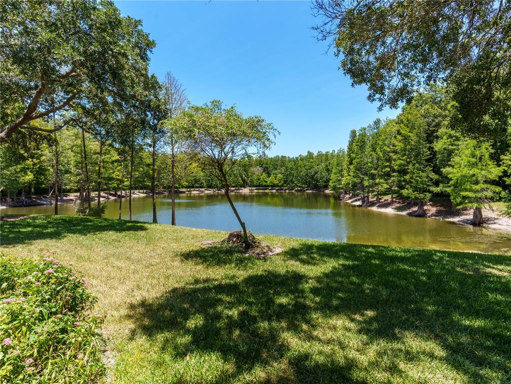 A grassy lawn overlooks a small pond surrounded by dense green trees under a clear sky — 7207 SHARPSBURG BOULEVARD, NEW PORT RICHEY, FL