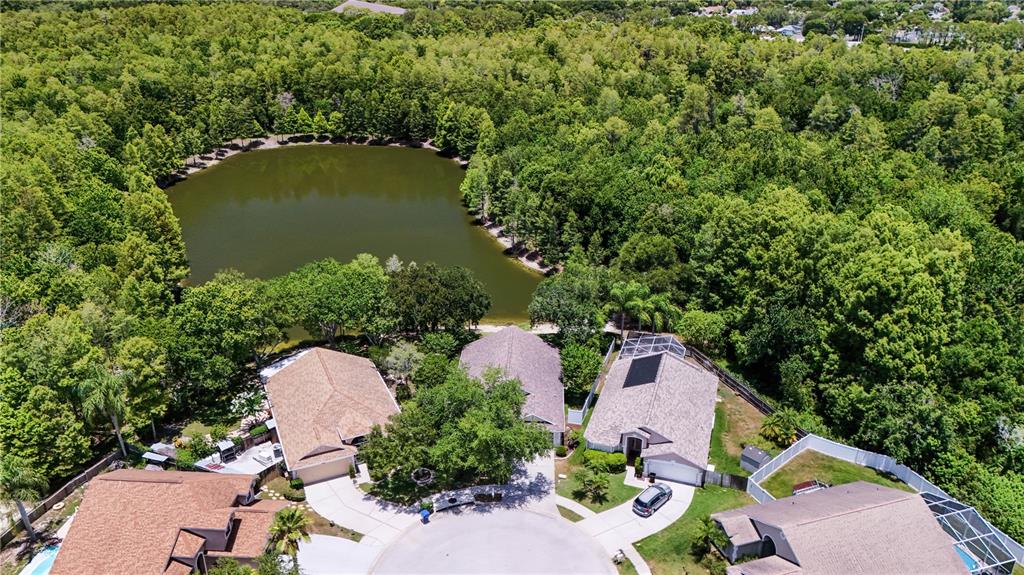 An aerial view shows several suburban houses situated around a cul-de-sac near a wooded pond — 7207 SHARPSBURG BOULEVARD, NEW PORT RICHEY, FL
