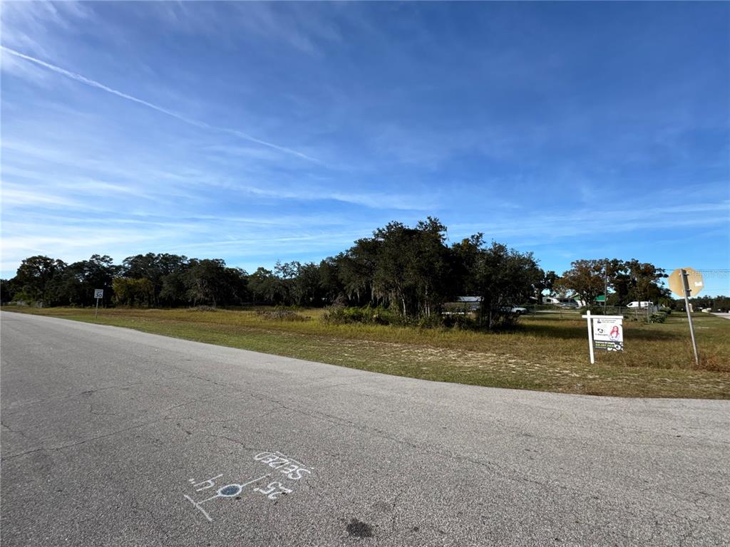 A vacant, grassy lot sits along a paved road with a real estate sign — FAST TROT TRAIL, LAKE WALES, FL