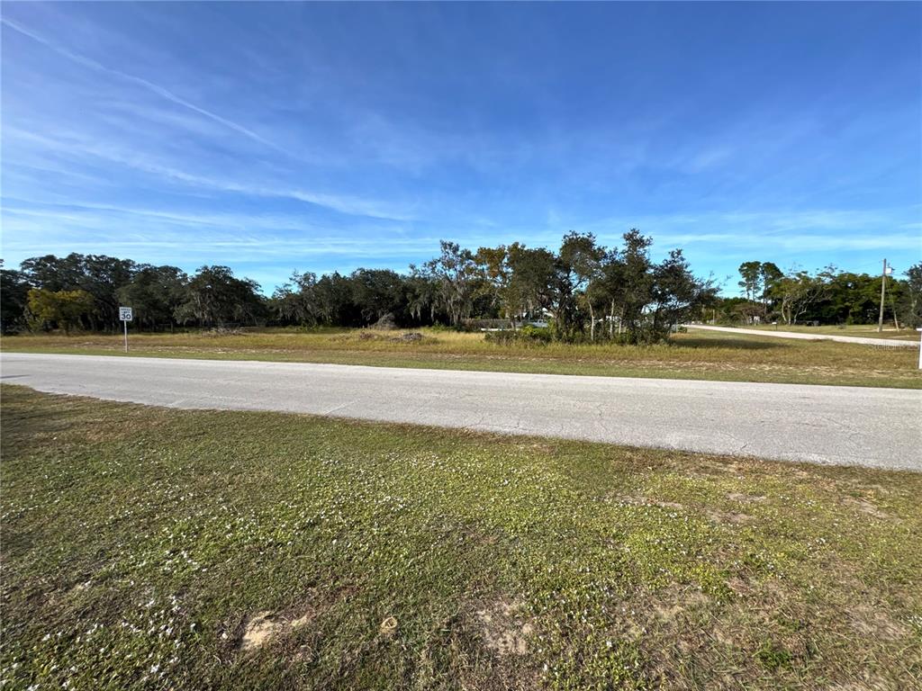 A paved road runs in front of a grassy, undeveloped lot with scattered trees — FAST TROT TRAIL, LAKE WALES, FL