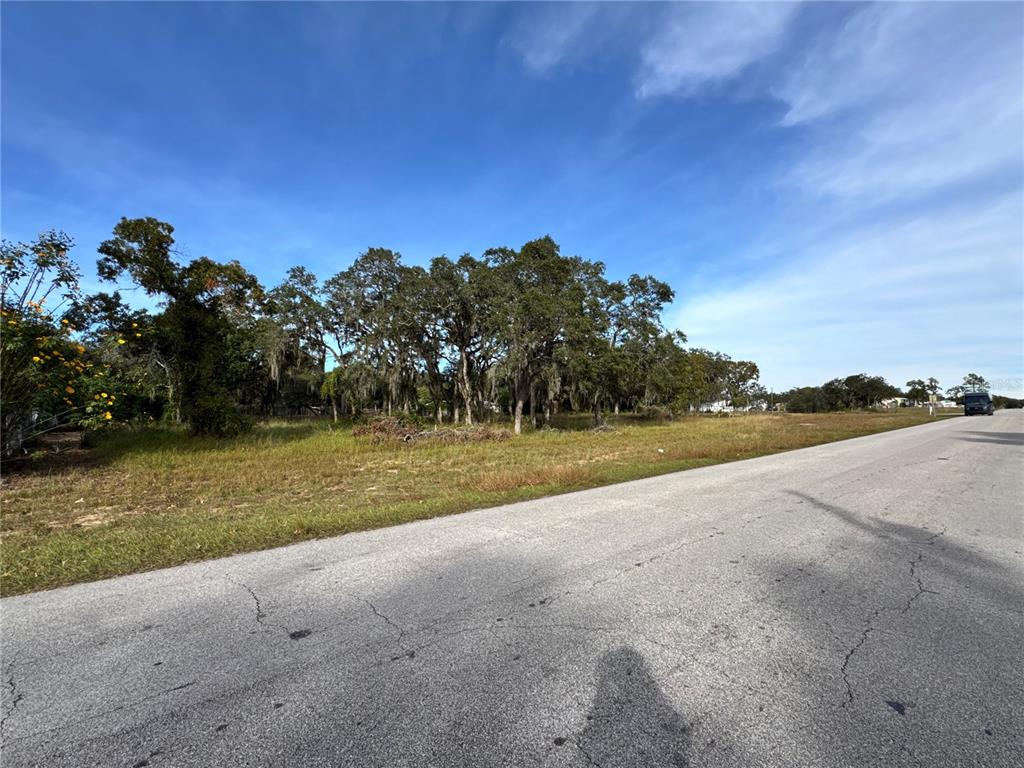 A paved road runs alongside a grassy, vacant lot with scattered trees under a blue sky — FAST TROT TRAIL, LAKE WALES, FL