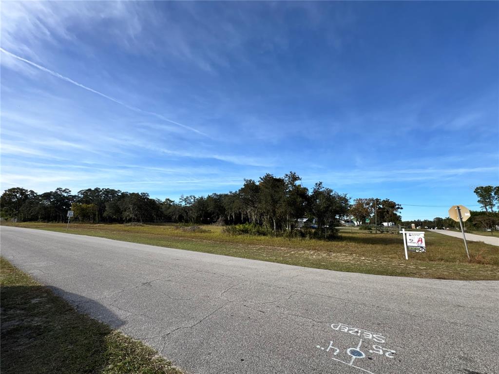 A paved road runs alongside a vacant, grassy lot with trees under a blue sky — FAST TROT TRAIL, LAKE WALES, FL