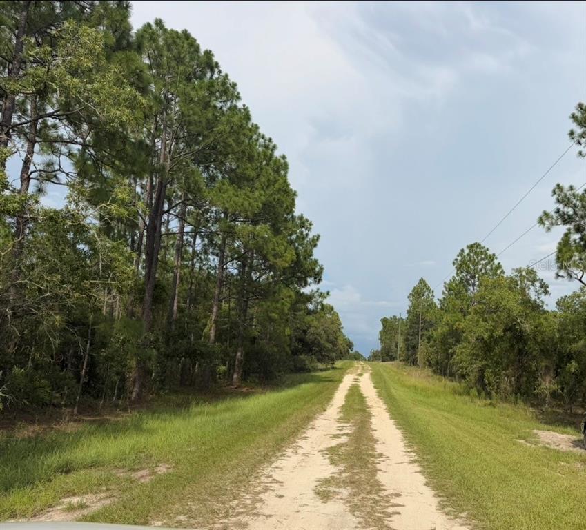 A dirt road stretches through a wooded area under a cloudy sky — SW 88 STREET, DUNNELLON, FL