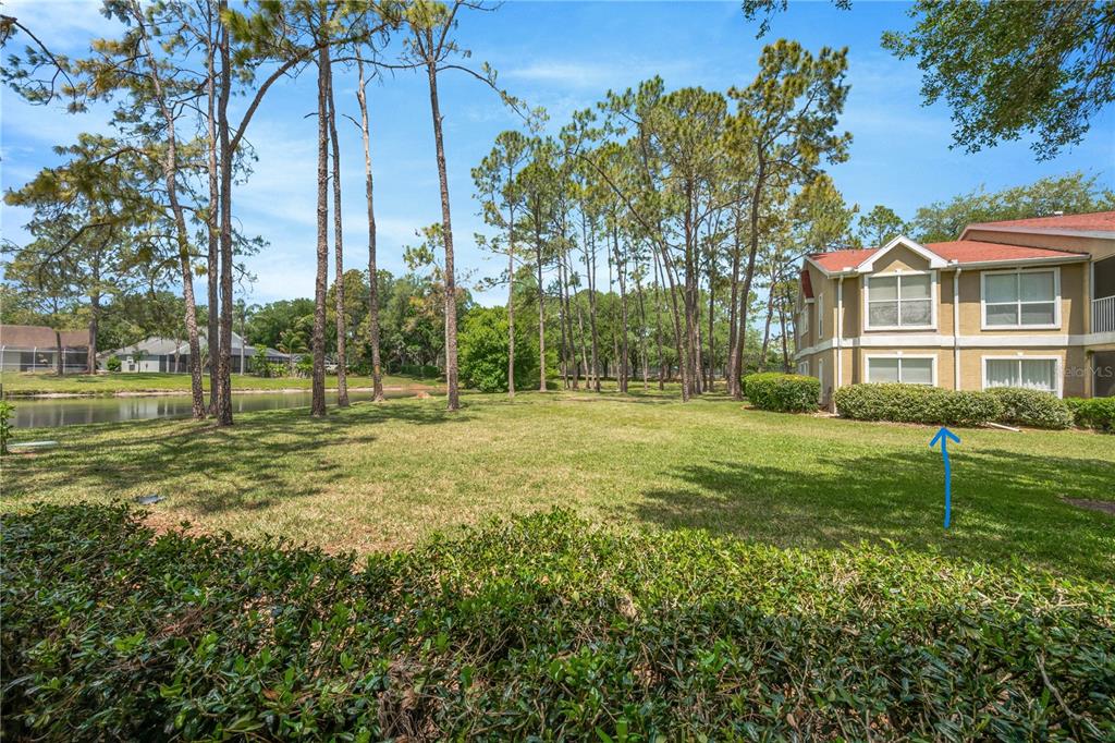 A grassy lawn sits between a pond and a multi-story apartment building with trees — 9481 HIGHLAND OAK DRIVE UNIT 1112, TAMPA, FL