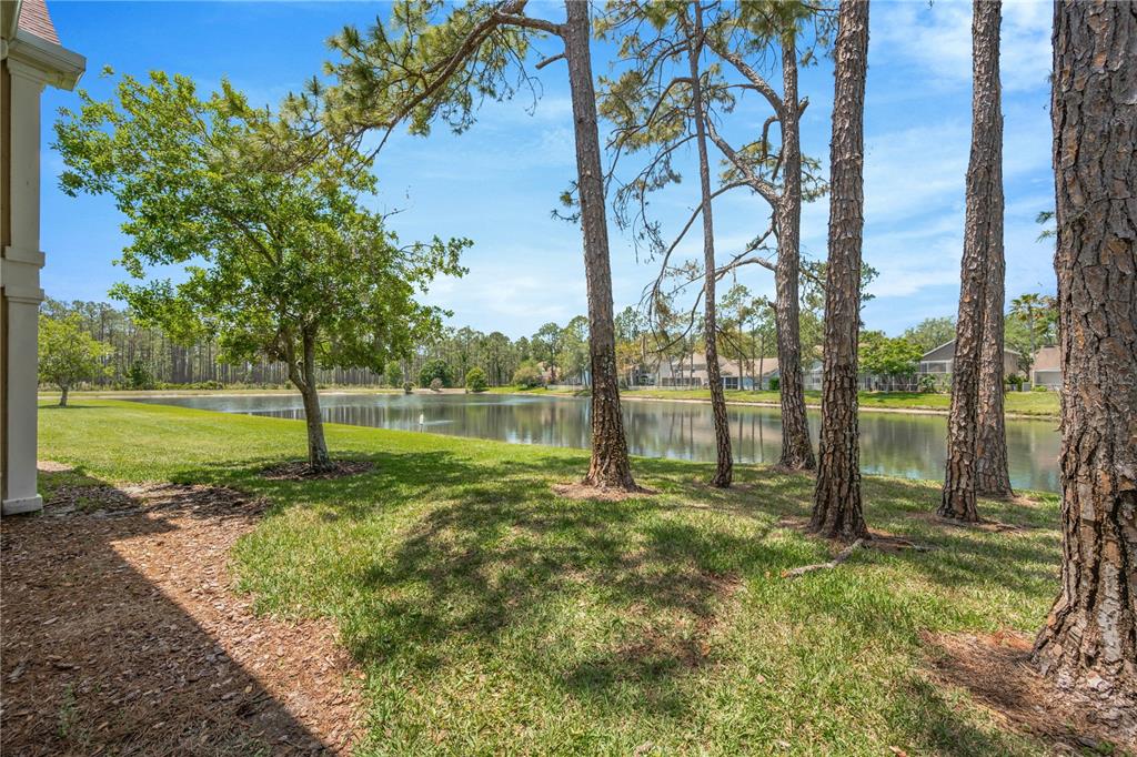 A grassy backyard with pine trees overlooks a pond behind a residential building — 9481 HIGHLAND OAK DRIVE UNIT 1112, TAMPA, FL
