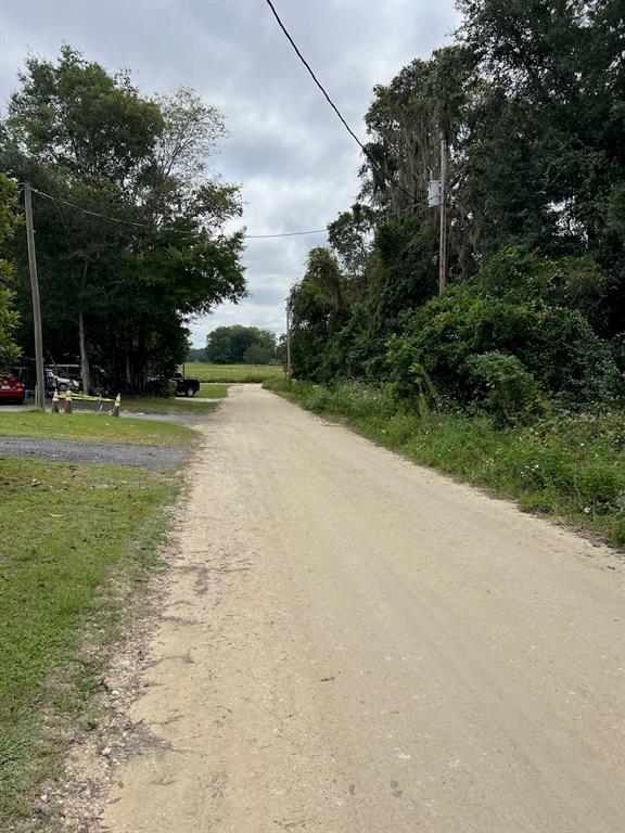 000 NE 40TH PLACE, WILLISTON, FL — photo 3 of 3