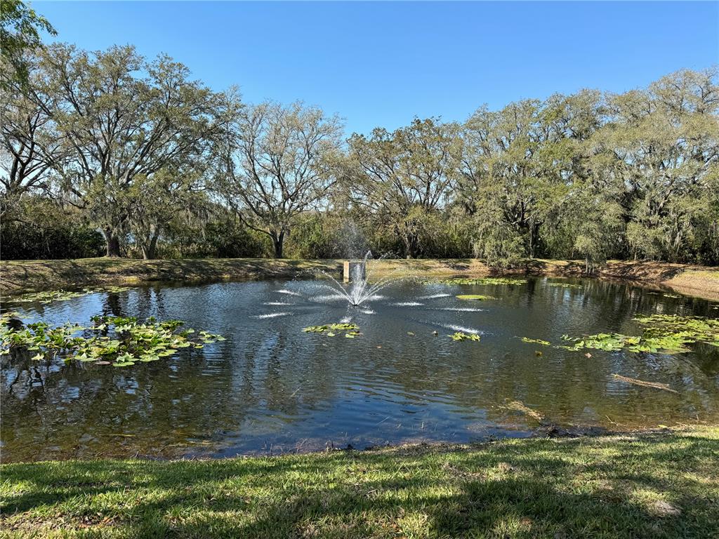 A pond with a central fountain is surrounded by trees and lily pads — 15434 N FLORIDA AVENUE, TAMPA, FL