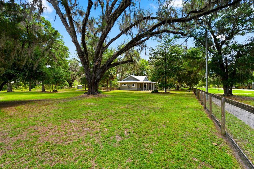 A small, light-colored house sits in a large, grassy yard shaded by mature oak trees — 2604 * NW 31ST AVENUE, GAINESVILLE, FL