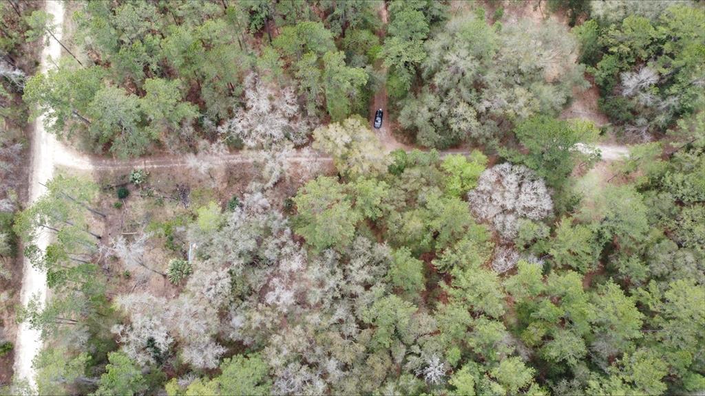 An aerial view shows a dirt road intersecting through a dense, wooded forest area — 00 SW 9TH PLACE, OCALA, FL