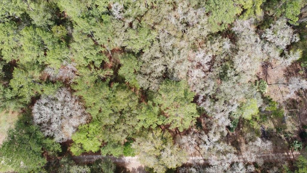 An aerial view shows a dense, wooded forest area with a dirt path running through it — 00 SW 9TH PLACE, OCALA, FL