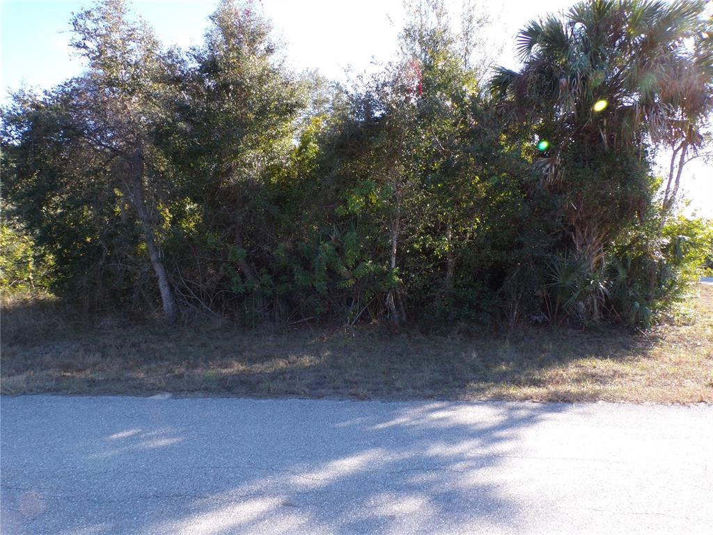A view of a vacant, wooded lot bordered by an asphalt road — 20019 ARNOLD AVENUE, PORT CHARLOTTE, FL