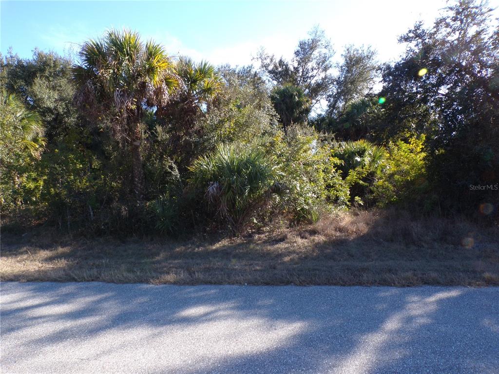 A paved road runs in front of a densely wooded lot with various palm trees — 20019 ARNOLD AVENUE, PORT CHARLOTTE, FL