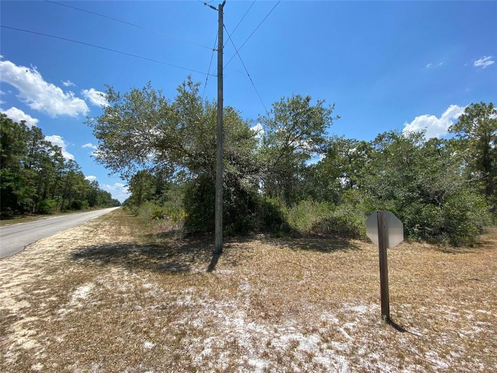 A utility pole and a stop sign stand on a sandy lot beside a road — Lot 24 Indian Lake Drive, FL 33855, FL