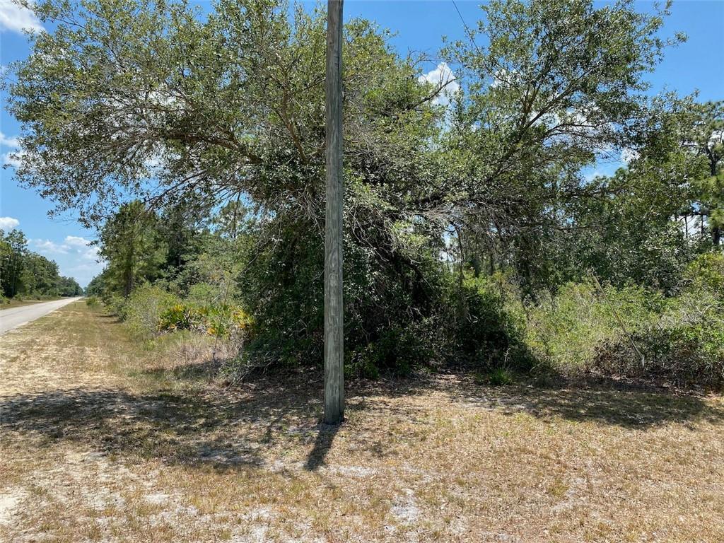 A utility pole stands in front of a large tree beside a paved road — Lot 24 Indian Lake Drive, FL 33855, FL