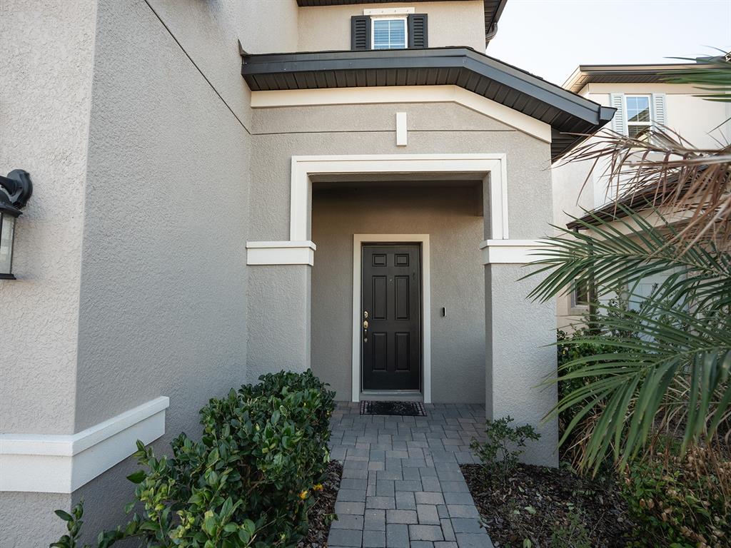A gray stucco house exterior features a dark front door and a paved walkway — 5836 TIMBERDALE AVENUE, WESLEY CHAPEL, FL
