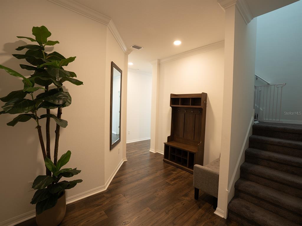 A hallway features wood-look flooring, a potted plant, a coat rack, and carpeted stairs — 5836 TIMBERDALE AVENUE, WESLEY CHAPEL, FL