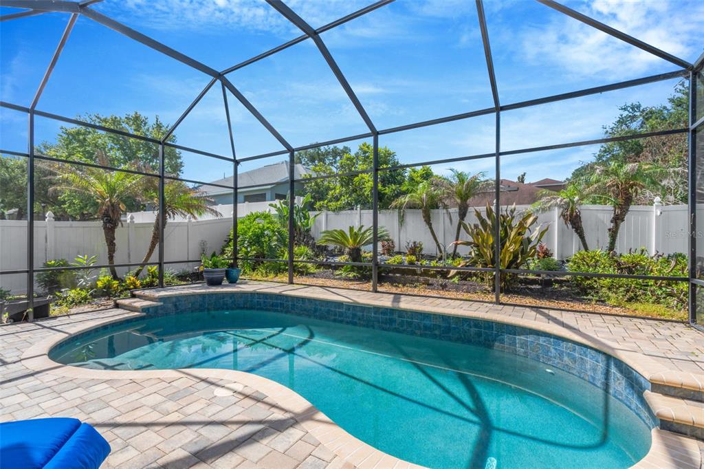 A screened-in backyard features a kidney-shaped swimming pool surrounded by a paver patio and landscaping — 2307 SILVER TRUMPET COURT, VALRICO, FL