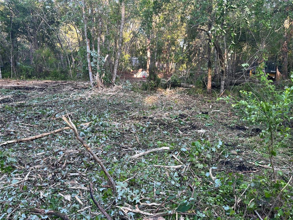 A partially cleared wooded lot with scattered brush and trees in a residential area — 10117 ORLAND STREET, NEW PORT RICHEY, FL