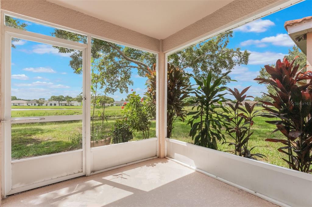 A screened-in porch overlooks a grassy backyard with tropical plants and a distant neighborhood — 5389 WATERVISTA DRIVE, ORLANDO, FL