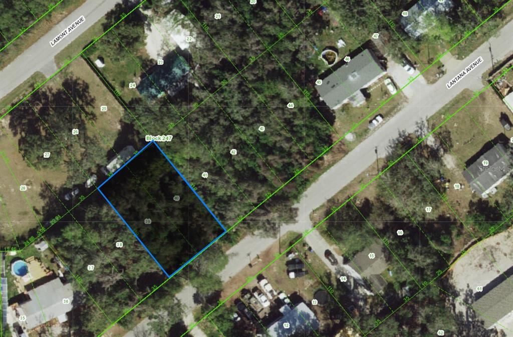This is an aerial map showing a highlighted rectangular land parcel in a residential area — 00 LANTANA AVENUE, NEW PORT RICHEY, FL