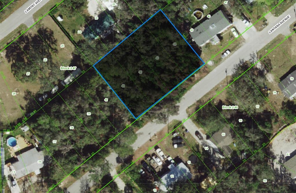 This is an aerial map showing a vacant, wooded residential lot outlined in blue — 00 LANTANA AVENUE, NEW PORT RICHEY, FL