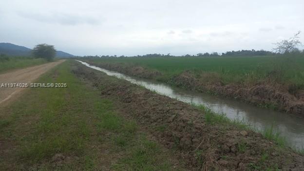 A dirt road runs alongside a narrow irrigation canal bordering a large, flat green field — KM 40 VIA NARANJAL-GUAYAS, EC, EC