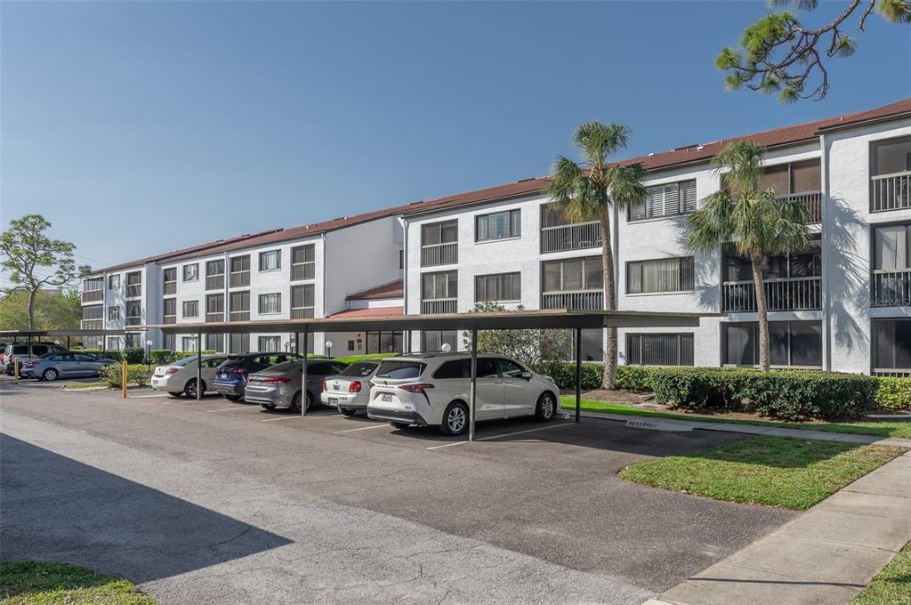 2595 COUNTRYSIDE BOULEVARD UNIT 8205