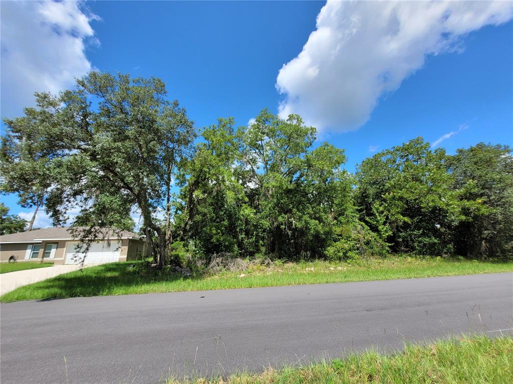 A paved road runs in front of a vacant, tree-covered lot next to a house — 0 SW 57TH TERRACE ROAD, OCALA, FL