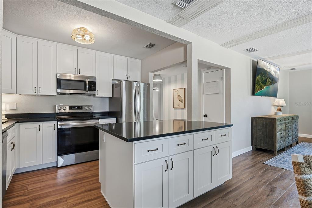 A kitchen with white cabinets, black countertops, stainless steel appliances, and wood-look flooring — 3305 W BALLAST POINT BOULEVARD, TAMPA, FL