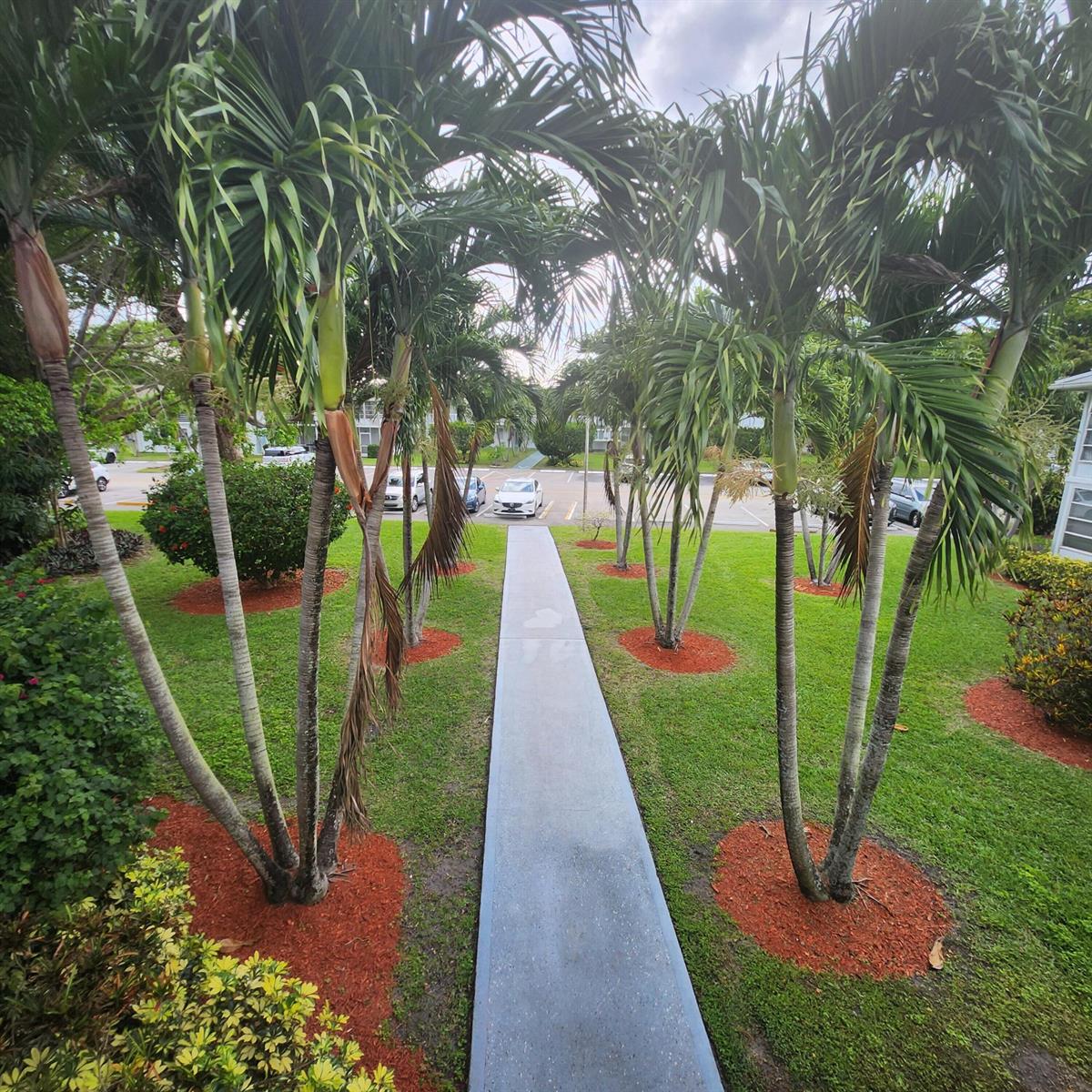 A concrete walkway leads through a grassy yard lined with palm trees toward a parking lot — 643 Durham W, Deerfield Beach FL 33442, DEERFIELD BEACH, FL