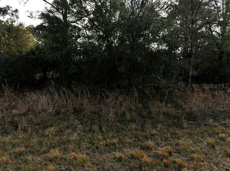 A view of a wooded lot with tall, dry grass in the foreground — MANSFIELD CIRCLE, NORTH PORT, FL