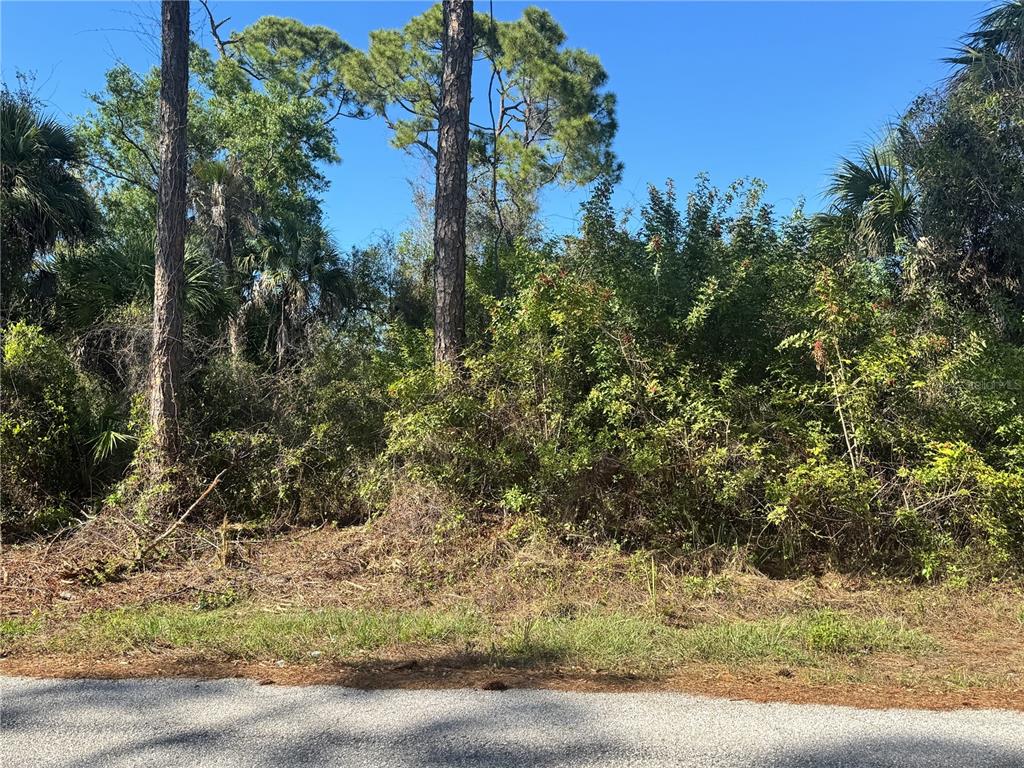 A view of a densely wooded, undeveloped lot from a paved road — 17426 BRIGHTON AVENUE, PORT CHARLOTTE, FL
