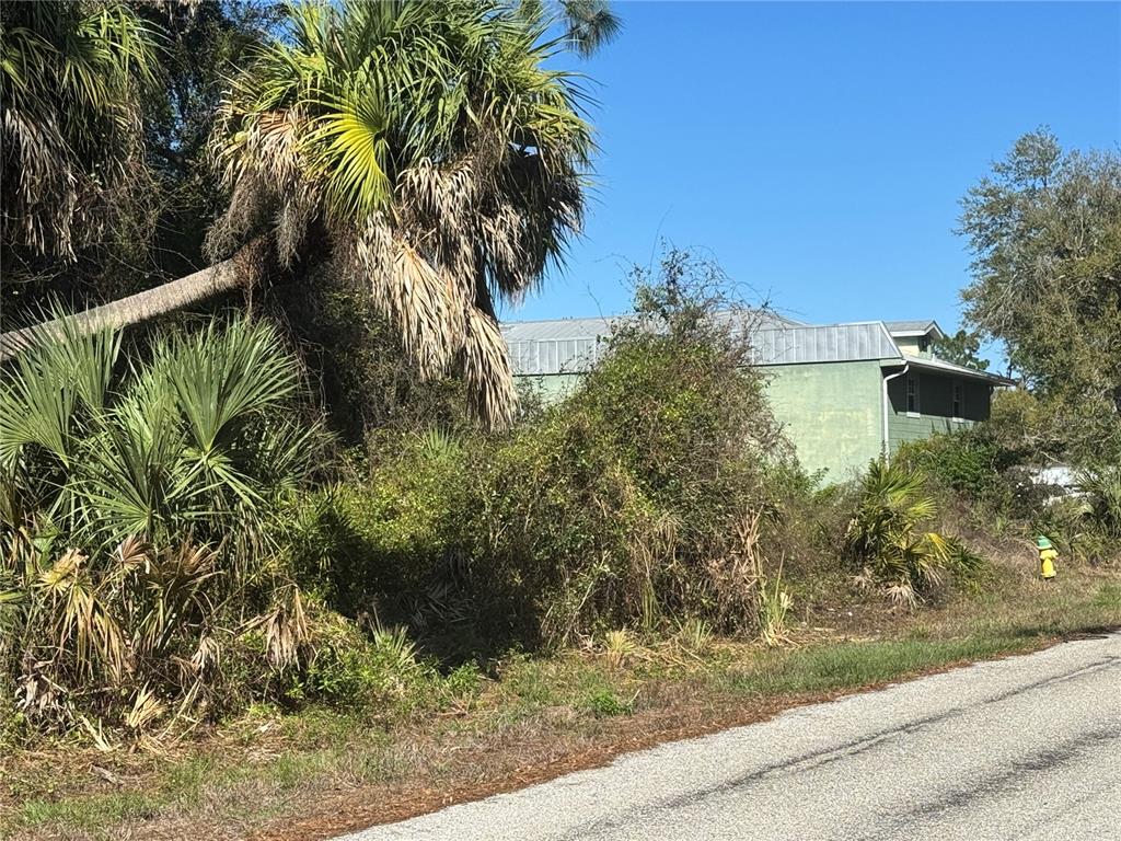 A green house is partially obscured by dense vegetation and palm trees near a road — 17426 BRIGHTON AVENUE, PORT CHARLOTTE, FL