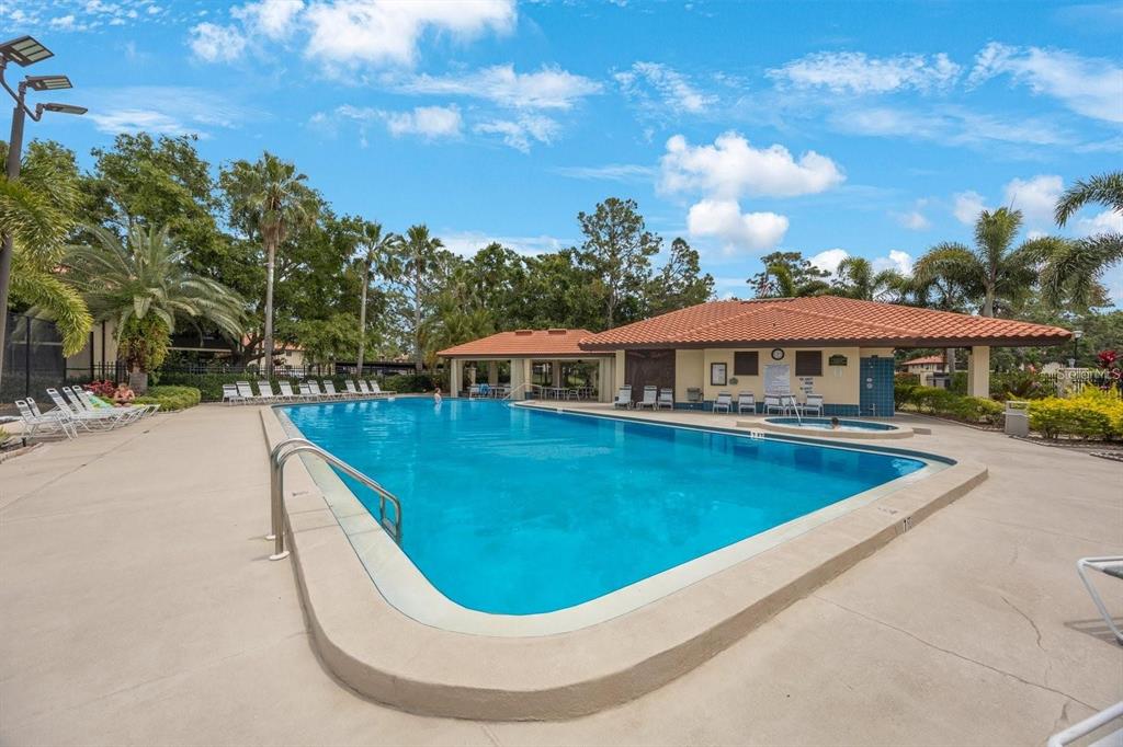 A large outdoor swimming pool with a covered patio area and palm trees — 404 HAMMOCK PINE BOULEVARD UNIT 404, CLEARWATER, FL