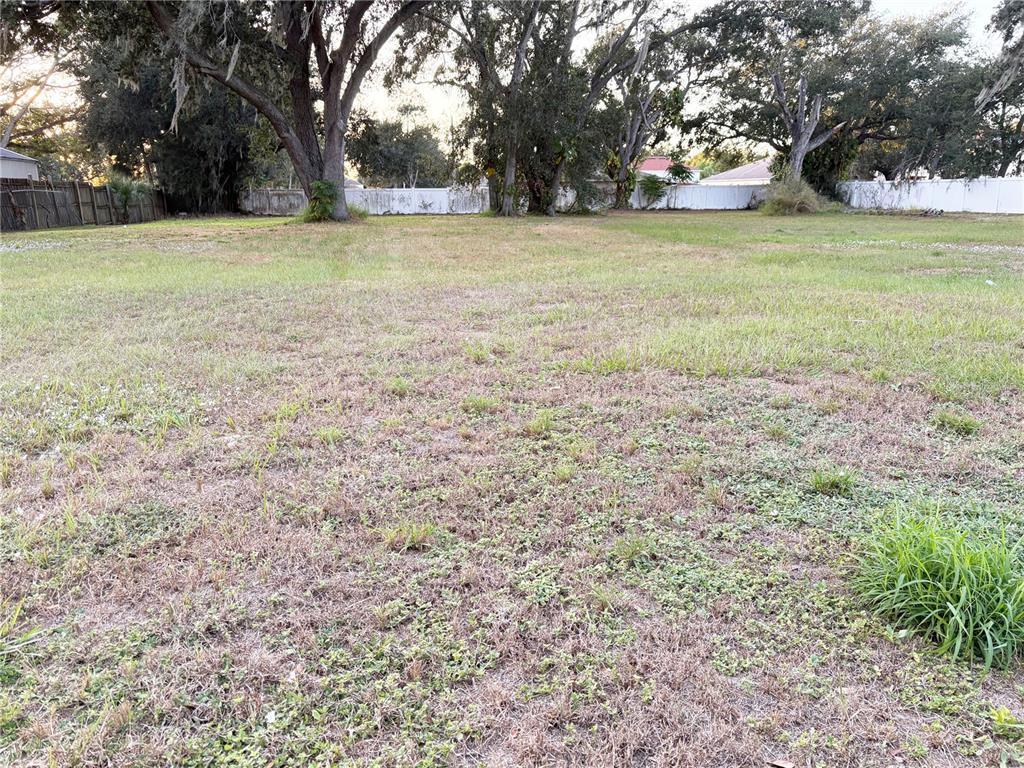A large, flat, grassy residential lot features several mature trees and a white perimeter fence — 6227 KRYCUL AVENUE, RIVERVIEW, FL