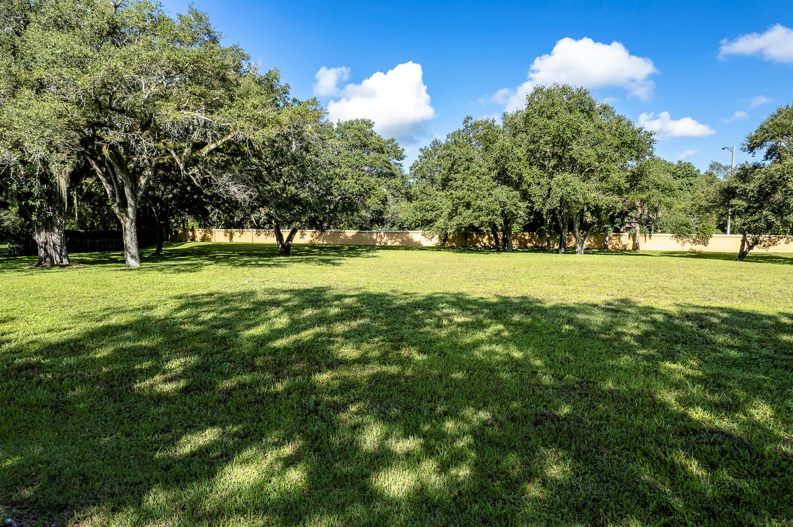 A large, grassy backyard features several mature oak trees and a tan perimeter wall — 9900 Winding Rdg Lane, Davie FL 33324, DAVIE, FL