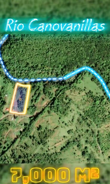 This aerial map shows a 7,000 square meter plot of land near the Rio Canovanillas — Bo. Carruzo SECTOR LAS FLORES, CAROLINA, PR