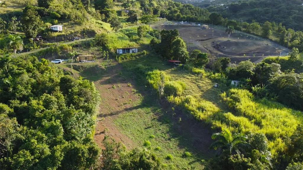 An aerial view shows a sloped, grassy plot of land with several small structures and trees — Bo. Carruzo SECTOR LAS FLORES, CAROLINA, PR