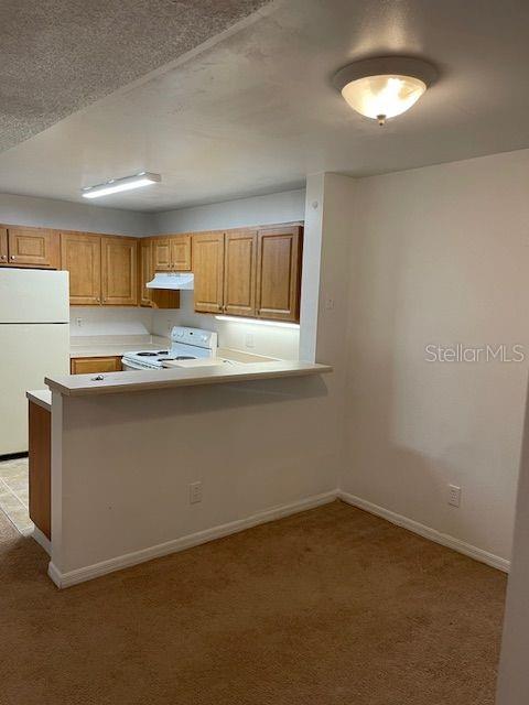 A kitchen with wooden cabinets and a breakfast bar overlooks a carpeted dining area — 6052 WESTGATE DRIVE UNIT 102, ORLANDO, FL