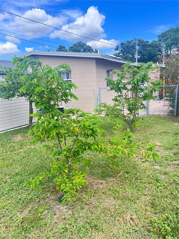 A backyard features two small fruit trees planted in the grass near a beige house — 3612 71ST STREET N, ST PETERSBURG, FL