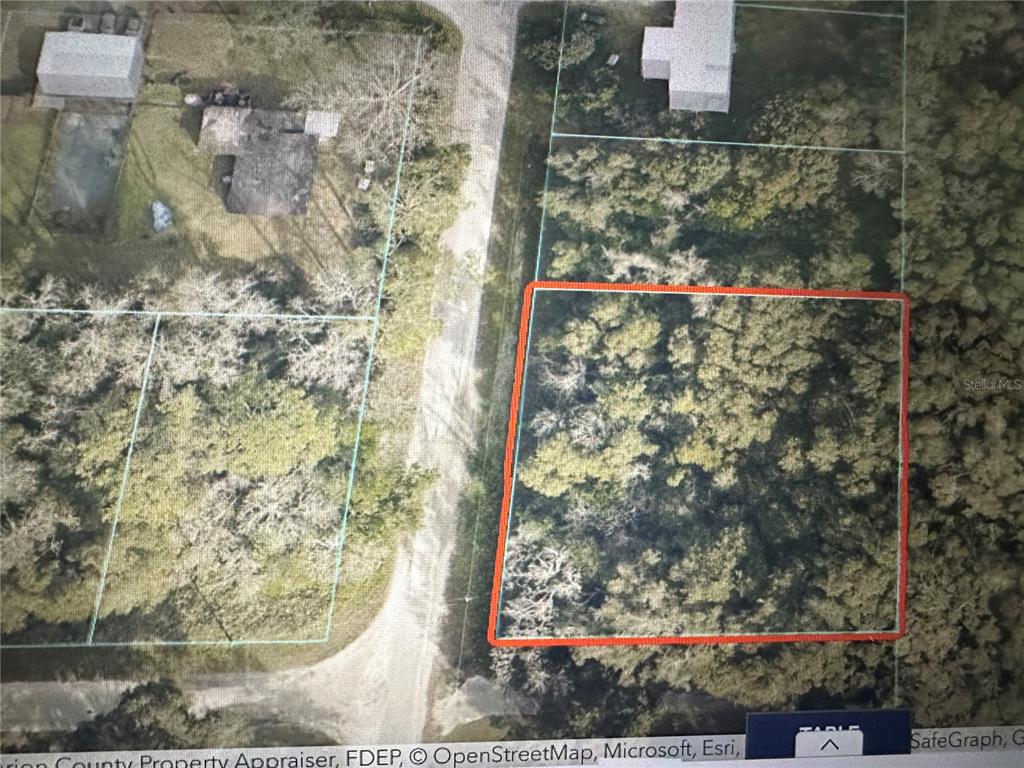 This is an aerial map showing a wooded, rectangular plot of land outlined in red — TBD SE 44TH AVENUE, SUMMERFIELD, FL
