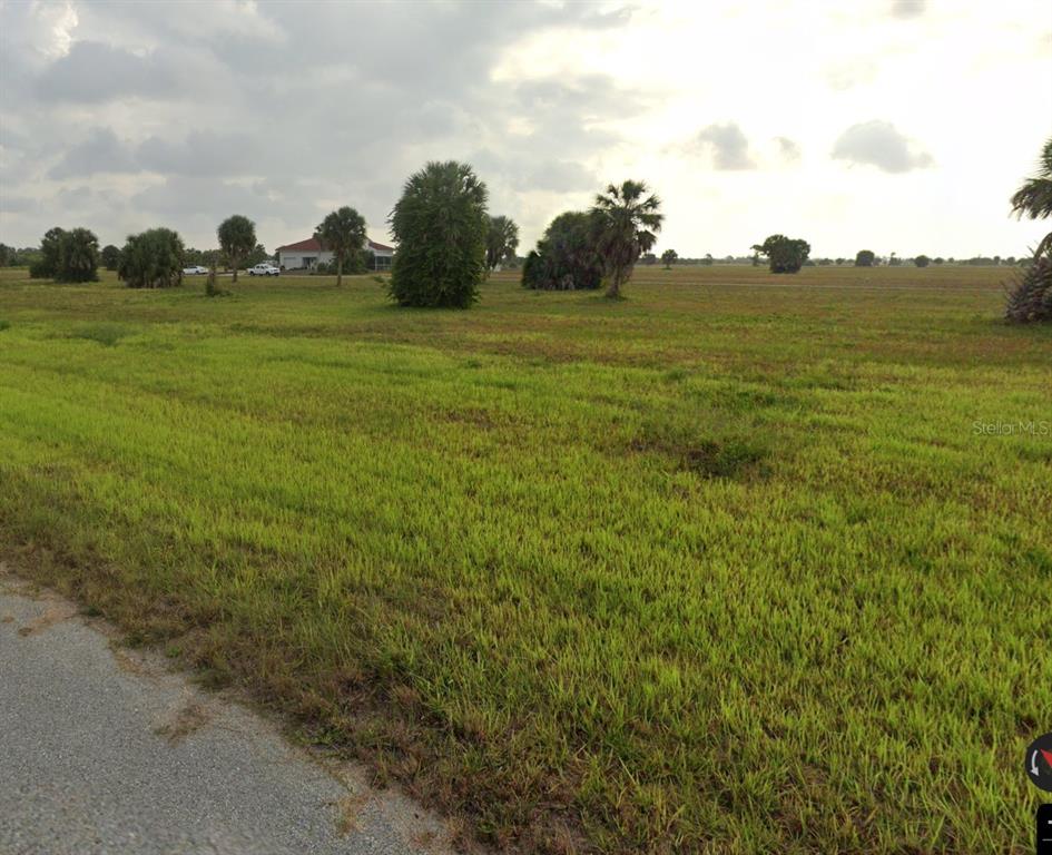 A wide, grassy field features scattered palm trees and a house in the distance — 6 ELM DRIVE, PLACIDA, FL
